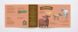 I Can Read - Animal Offspring (Level 3-4)