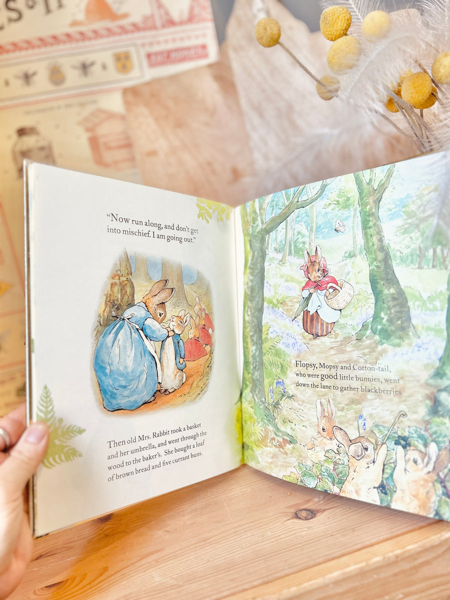 Tale of Peter Rabbit – Little Gumnuts