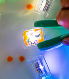 LIMITED EDITION LIGHT-UP CUBES, 6-PACK ZOO ANIMALS