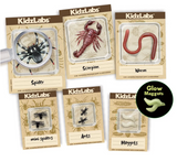 4M - KidzLabs - Creepy Crawly Digging Kit
