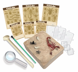 4M - KidzLabs - Creepy Crawly Digging Kit