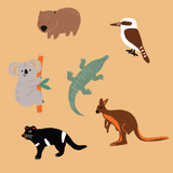 6 x Aussie Chino Charms