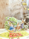 Peter Rabbit: Peter's Picnic: A Pull-Tab and Play Book