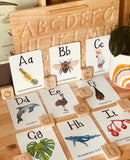 Australian Alphabet Flash Cards