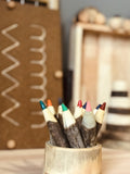 Tree Colour Pencil Set